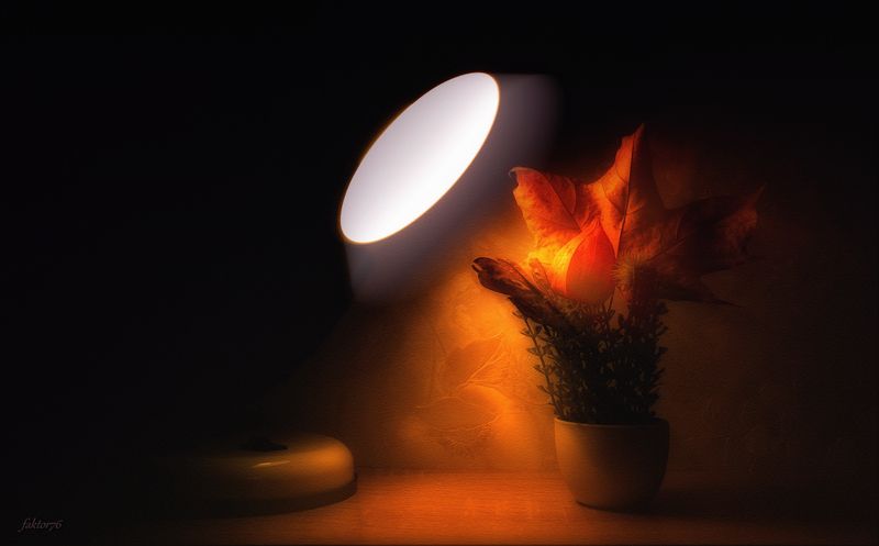 *** фото превью