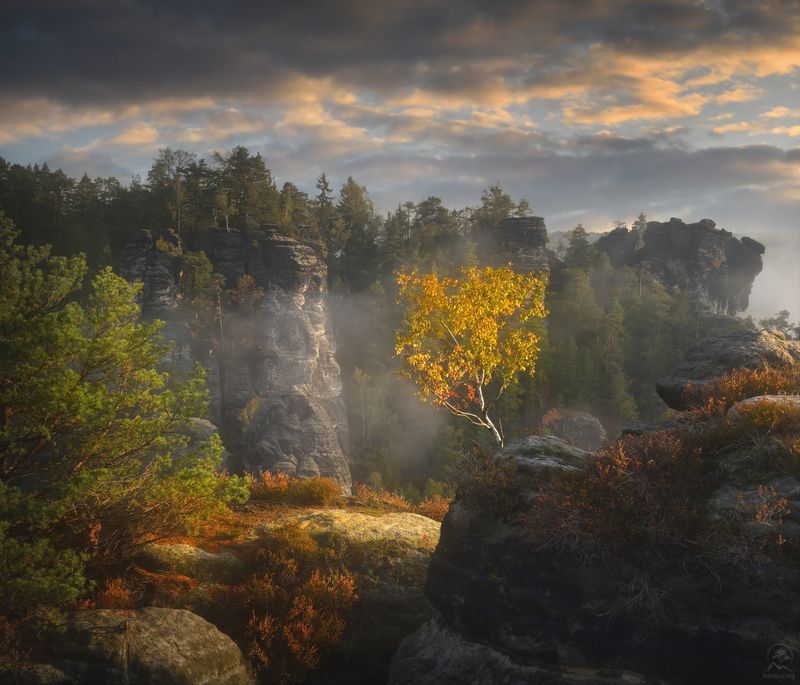 богемия ОСЕННЯЯ БОГЕМИЯphoto preview