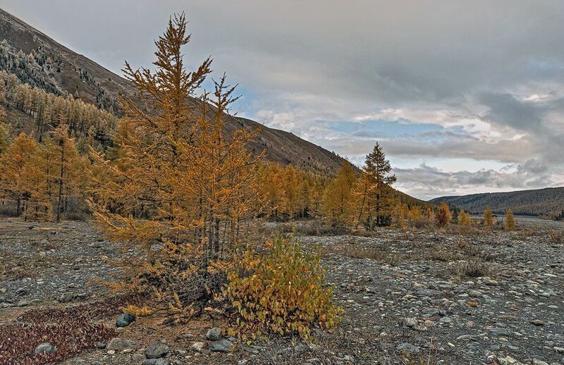 алтай Осень фото превью