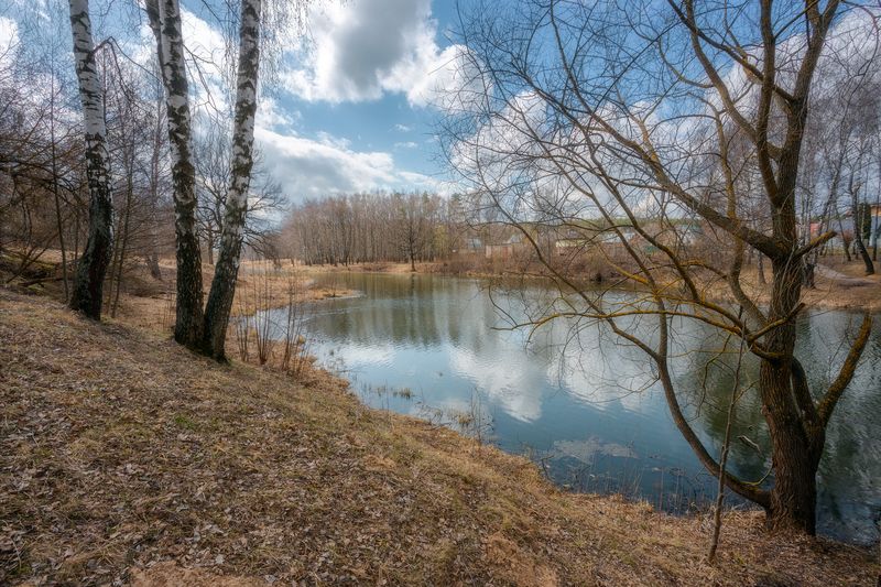 пейзаж, отражение, Московская область, природа, петрица, река Мартовский пейзаж.photo preview