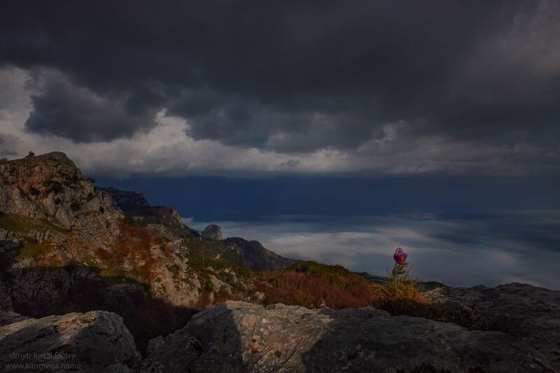 пейзажемагьё, пейзаж-как-виденье Пейзаж одного сна …photo preview