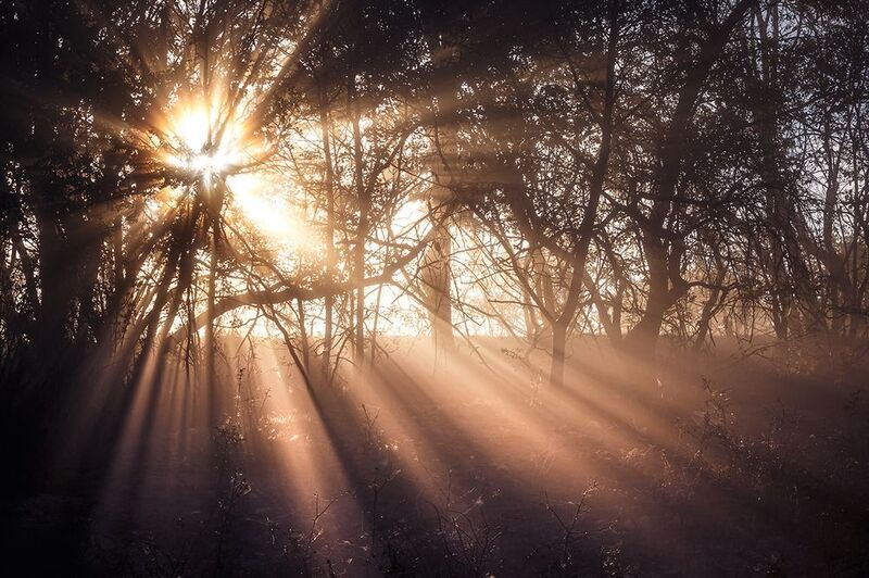 2024-09-29photo preview