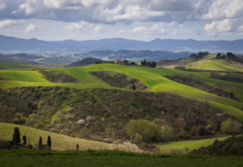 Весенний деньphoto preview