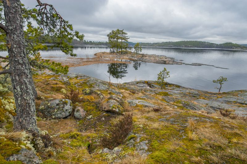 Апрельские краски Ладогиphoto preview