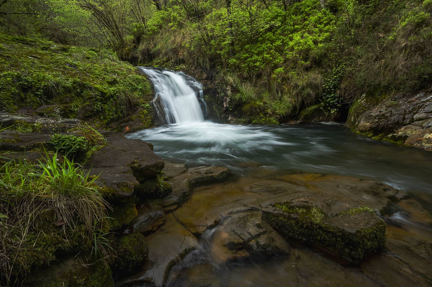 photography, mountain, spring, river, landscape, photo, awakening, flowers, land, landmark, lands, soft ligth, ligth, mountains, photo, river, jimenez millan samuel