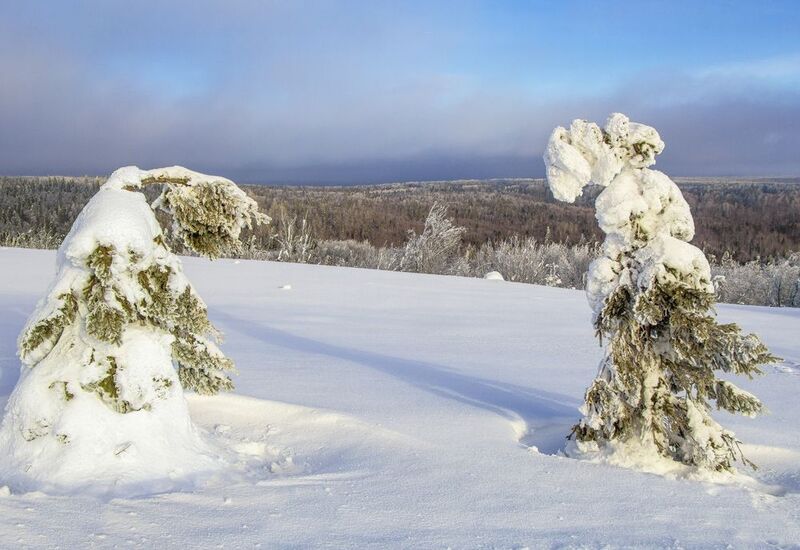 Белая гора, зима, деревья Двоеphoto preview