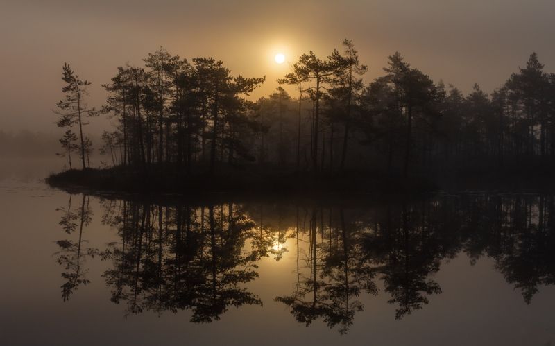 Силуэтыphoto preview