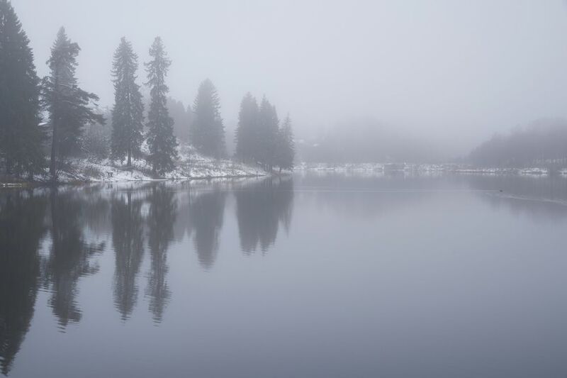 Туманный пруд фото превью