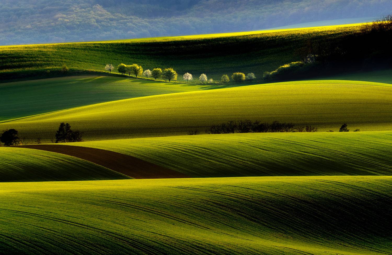 spring, moravia, czech, , Stanislav Judas