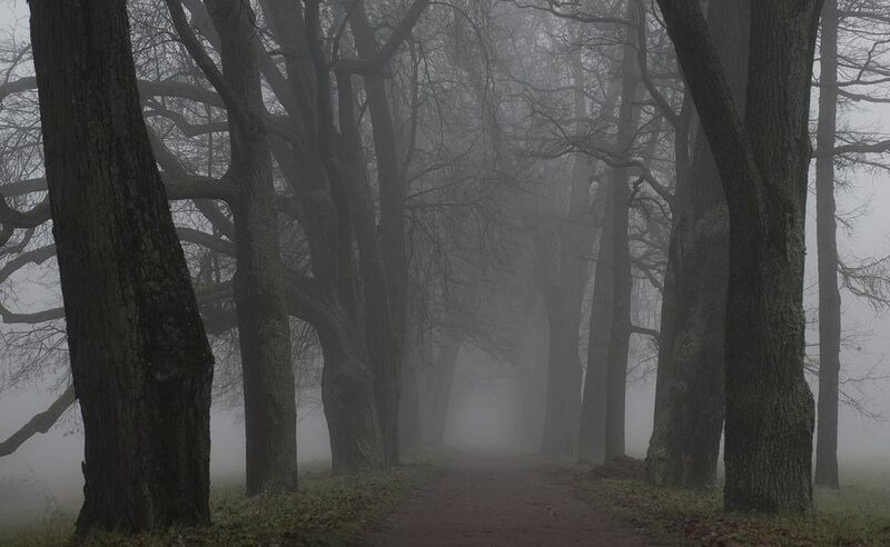 A morning in Novemberphoto preview