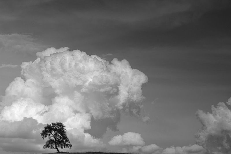 *******photo preview