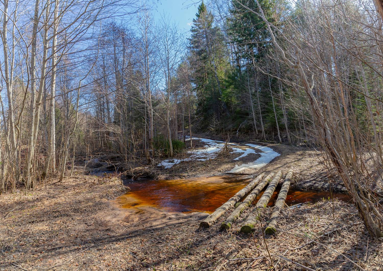 ручей, мостик, дорога, кустарник, лес, Анкудинов Леонид