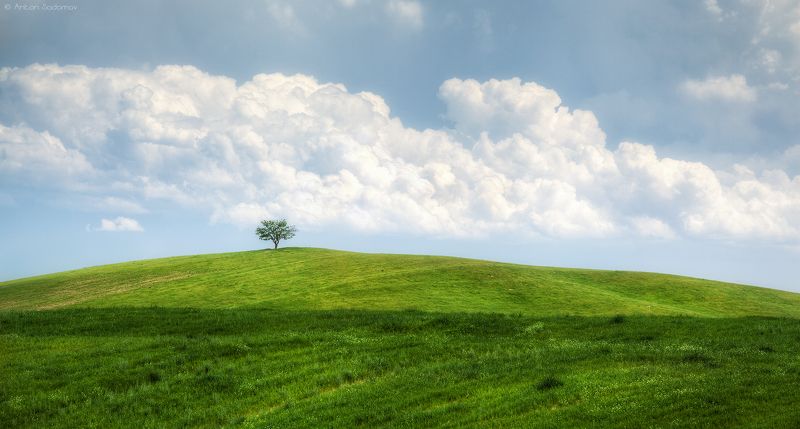 Гармония природыphoto preview