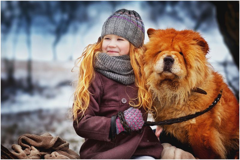 дети, собаки, лес На проулкеphoto preview