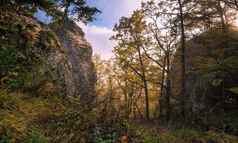 Лес, Мезмай, Осень, Природа, Туман Осень бывает туманна в Мезмаеphoto preview