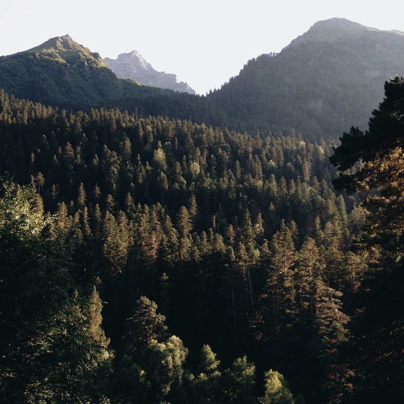 мобильная, фотография, mobile, photography Мобильная фотография ч.37photo preview