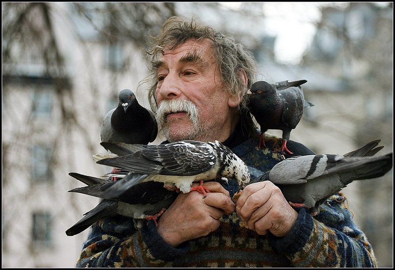 Париж, Клошар. Голуби  На ушко.  photo preview