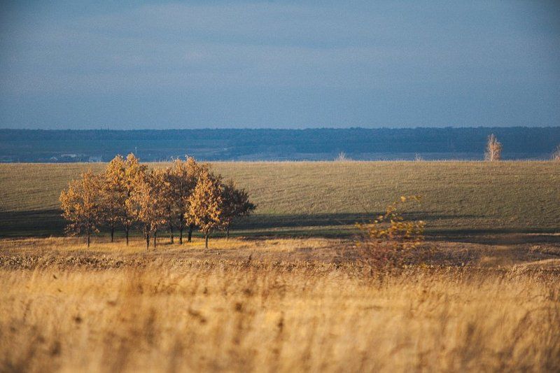 поляphoto preview