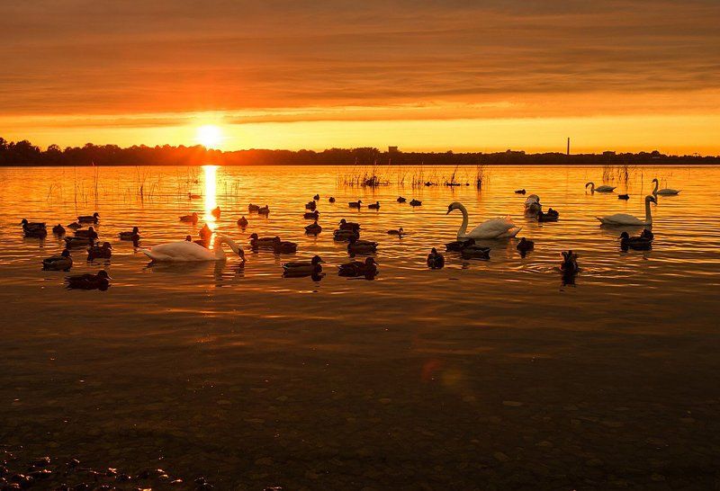 SirJ Po, Latvia