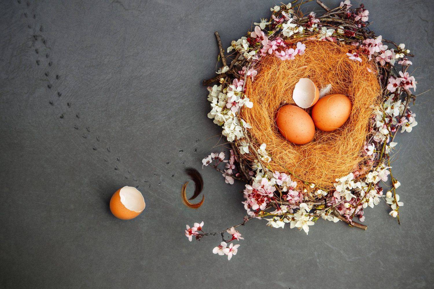 Весна. Автор: Mindia Charkseliani , Mindia Charkseliani