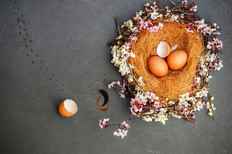 Веснаphoto preview