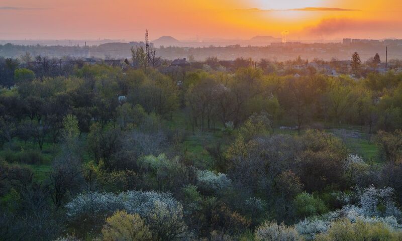 Весеннее утро.photo preview