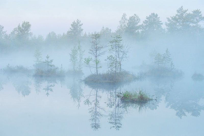 Серое утроphoto preview