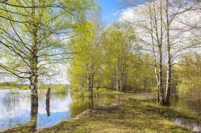 Весна, половодье, разлив Весна идетphoto preview