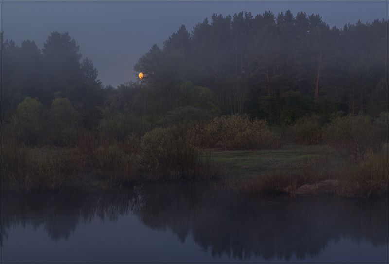 Туманное утроphoto preview