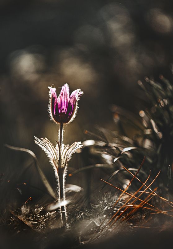 За фабричной заставойphoto preview