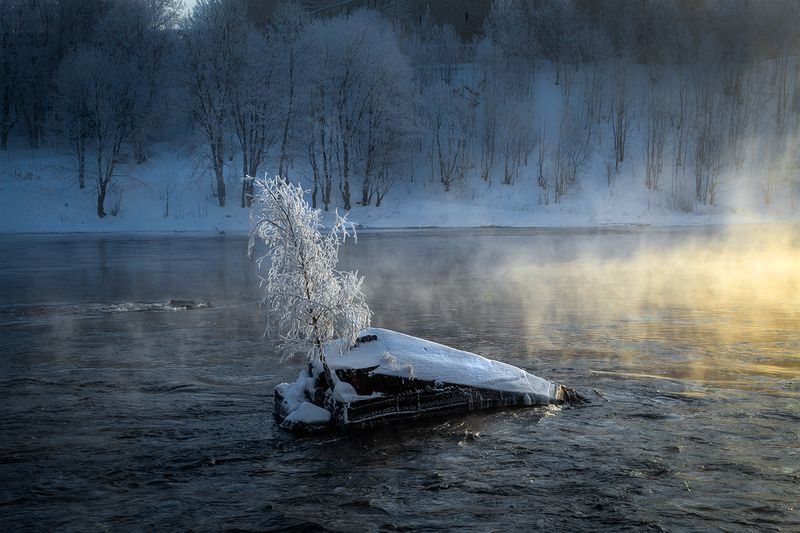 нарва зима река береза На реке Нарове фото превью