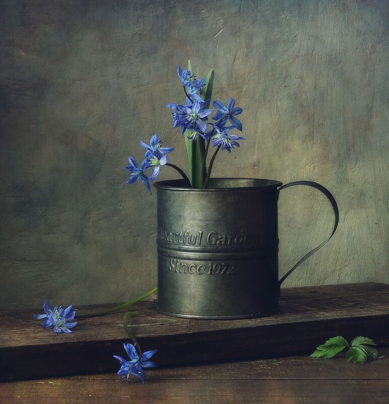 натюрморт,весна,кружка,цветы,сцилла,первоцвет ...photo preview