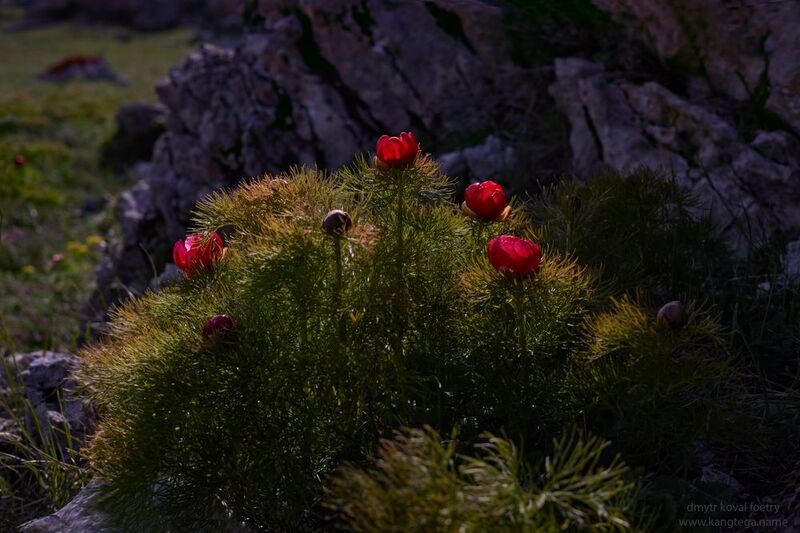 пейзажемагьё, пейзаж-как-виденье Остров …photo preview