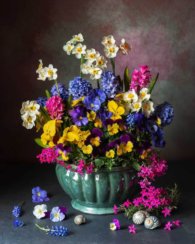 Spring Bloomsphoto preview