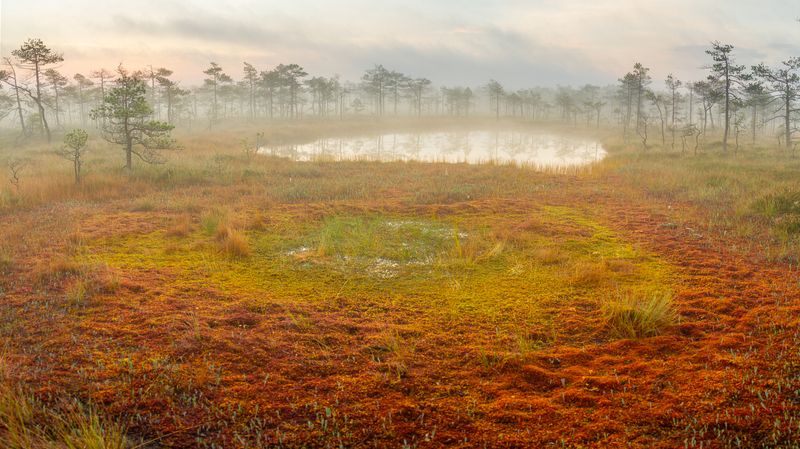 Словно вязаный коврик...photo preview
