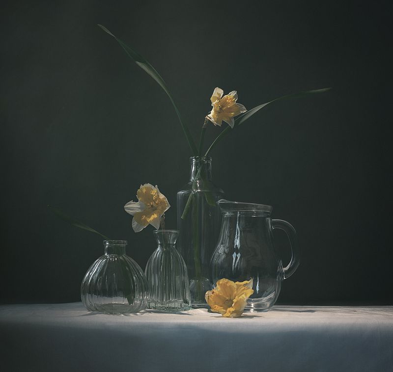 Нарциссыphoto preview