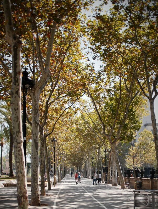 Барселона *** фото превью