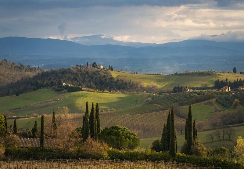 Вечерний пейзажphoto preview