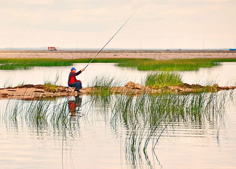 Ловись рыбкаphoto preview