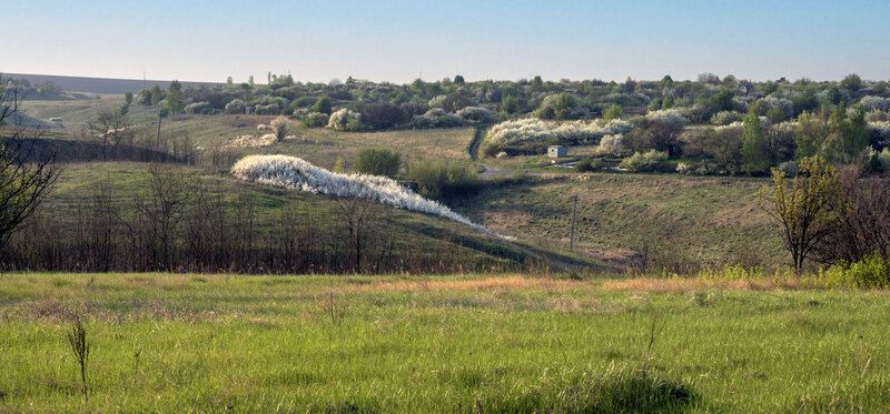 Цветениеphoto preview