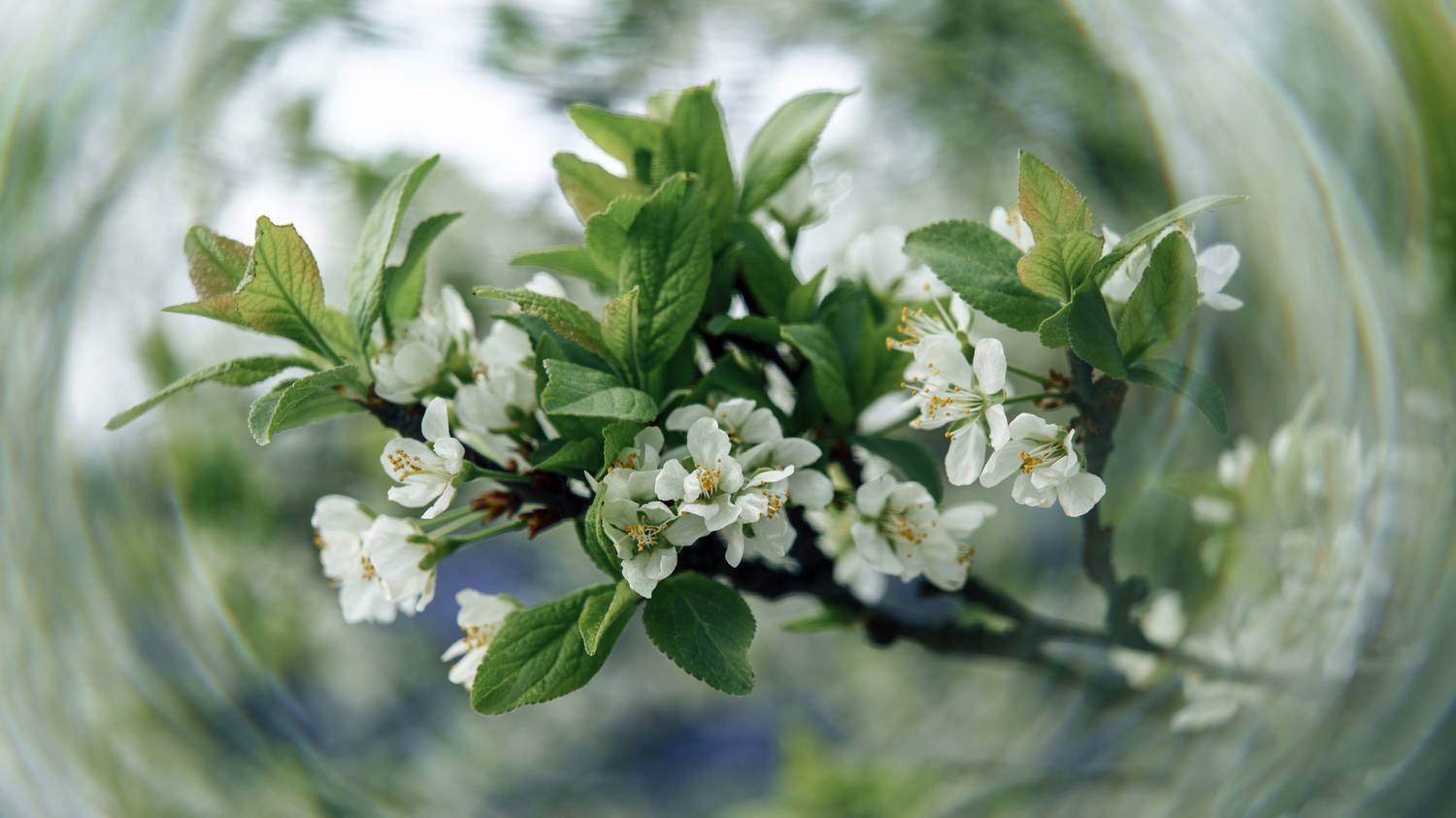 , Вертиков Юрий