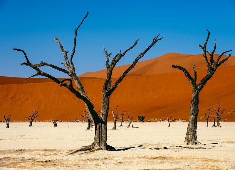 пустыня каменный лес Намибииphoto preview