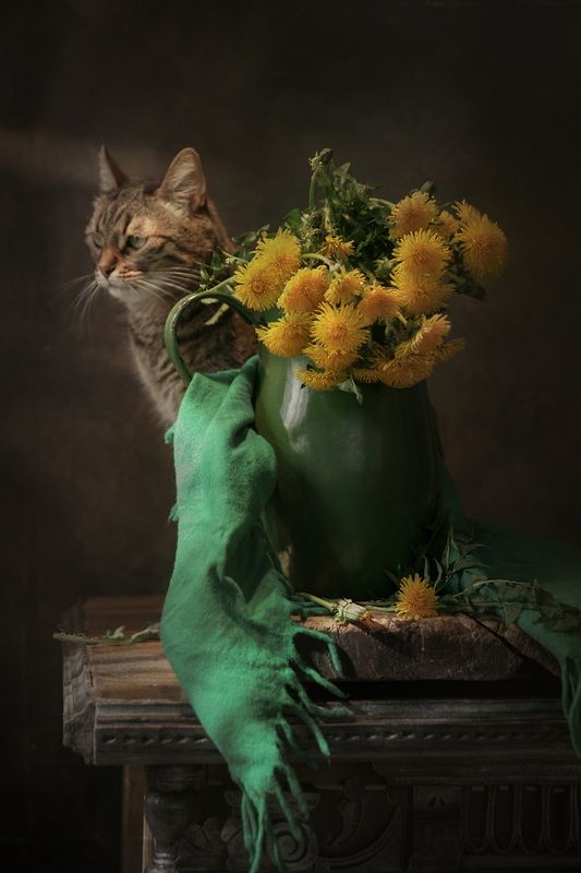 Мусенька и одуванчикиphoto preview