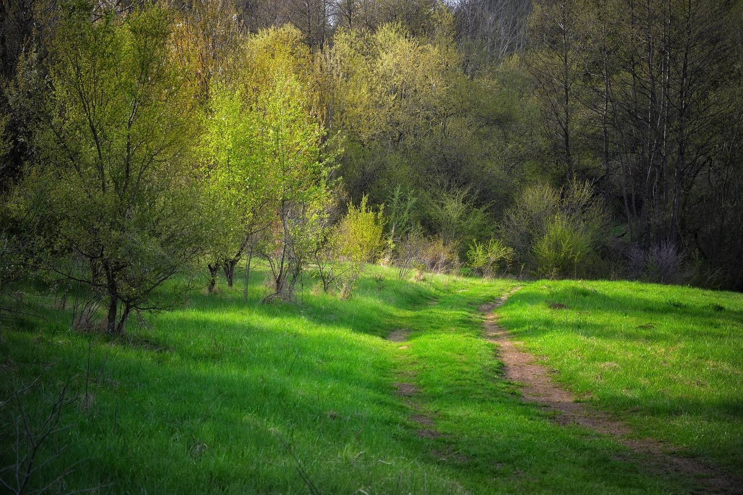 , Юлияна Стоянова