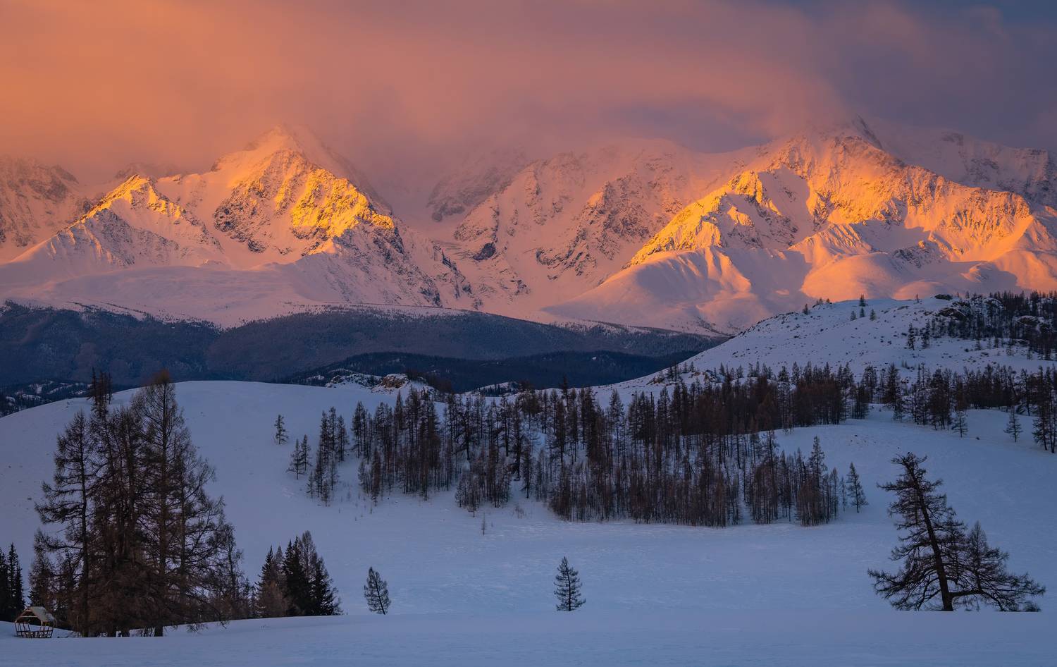 Алтай, Север-Чуйский хребет, Горный Алтай, Кабанов Дмитрий