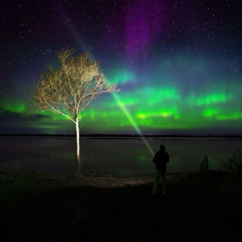 аврора, сияние, ночь, река, дерево Вальс светаphoto preview