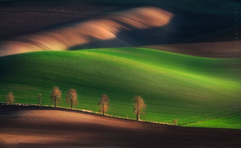 czech, moravia, landscape, green, rollinghills, trees, land, fields, agriculture, europe, lights, Rolling Hills_1photo preview