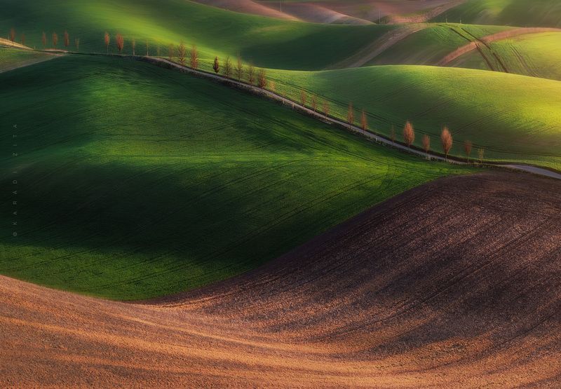 czech, moravia, landscape, green, rollinghills, trees, land, fields, agriculture, europe, lights, Rolling Hills_2photo preview