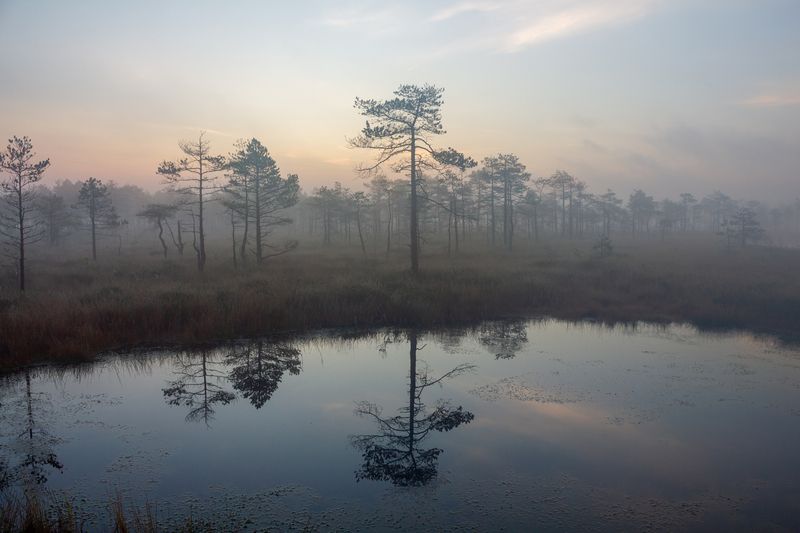 Утро туманноеphoto preview