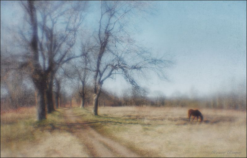монокль, индустар-50, artрhoto, manuallens, художественное фото Весною или во сне...photo preview